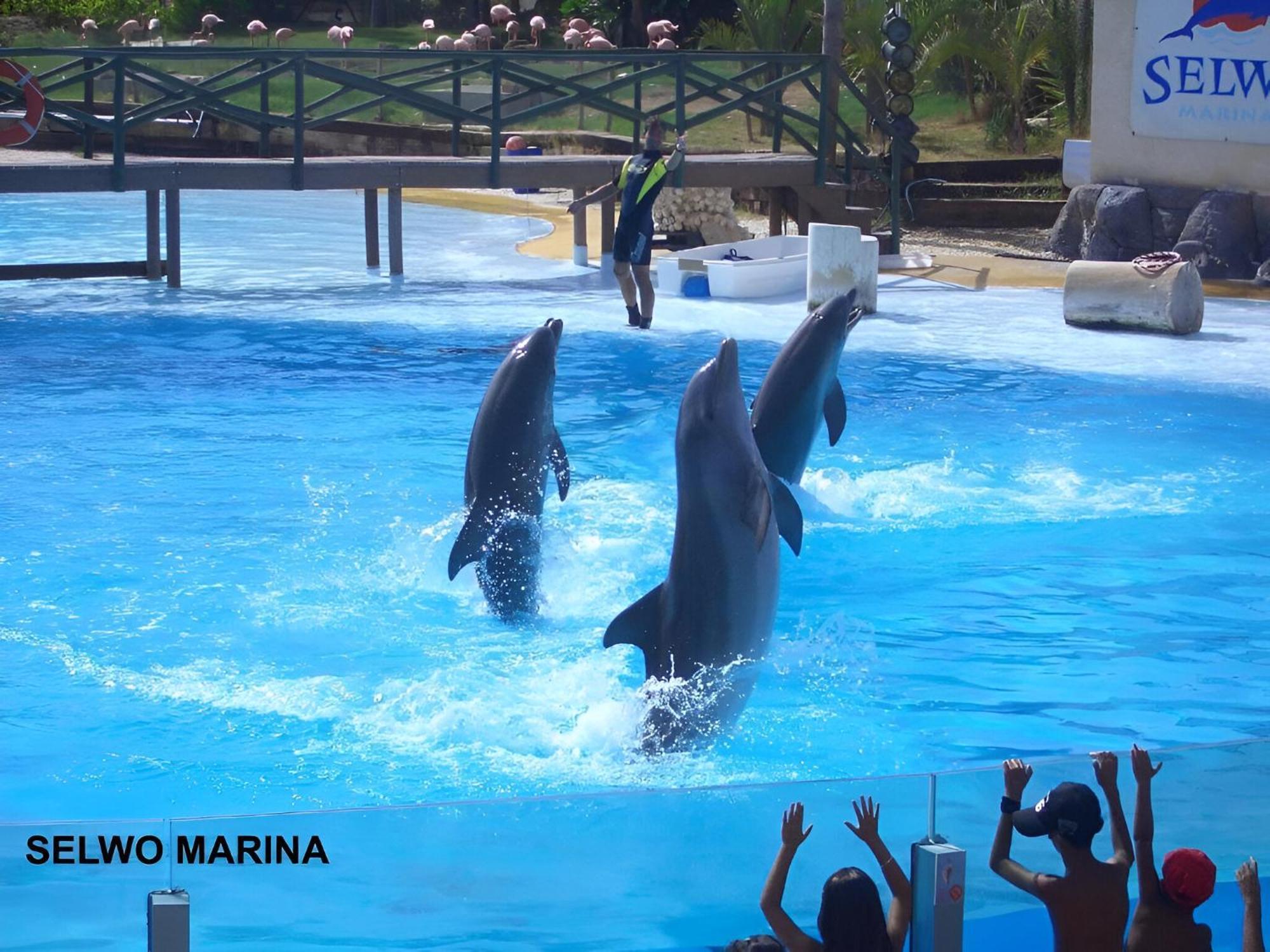 Luxury Minerva Benalmadena